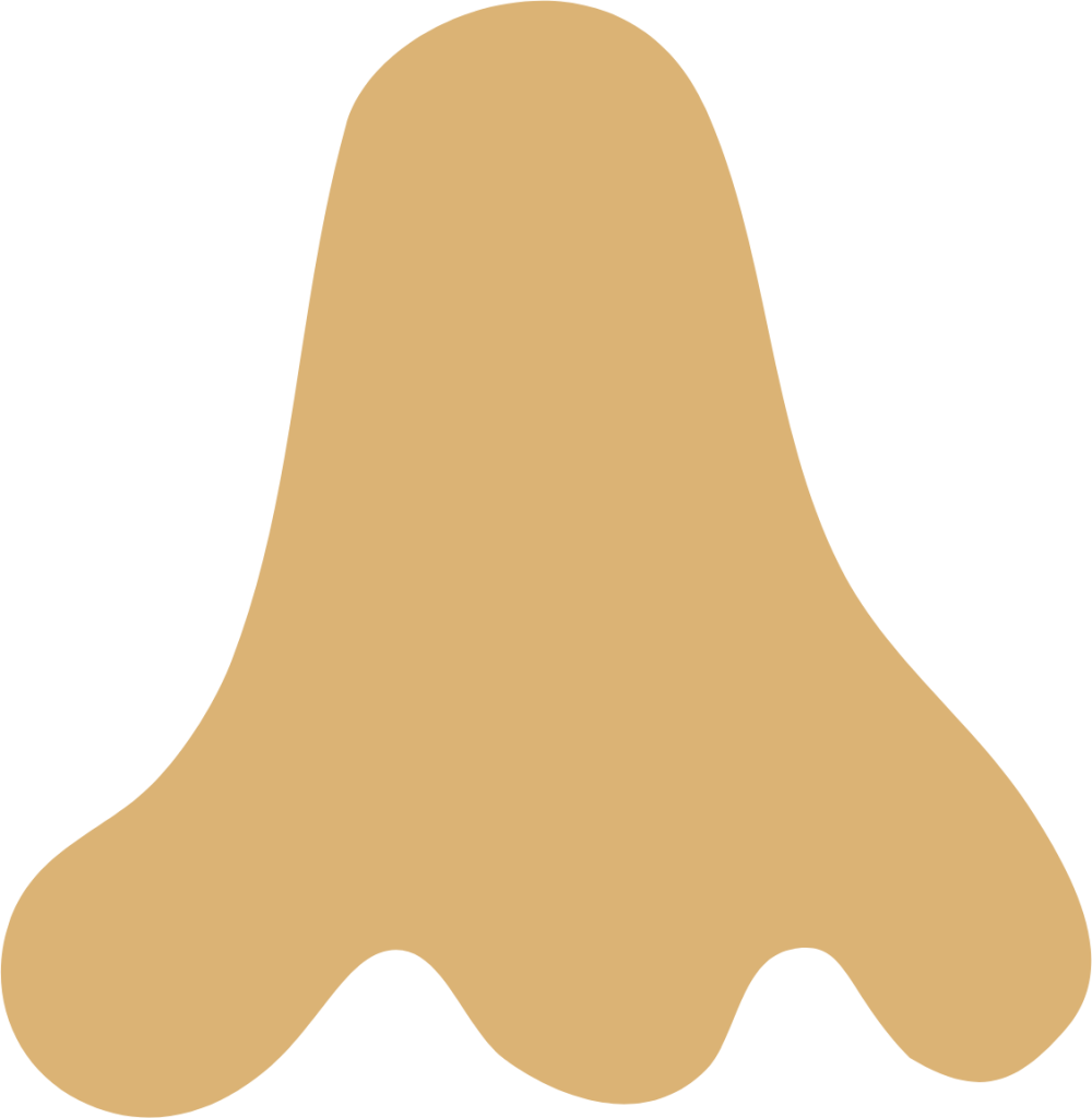 abstract nose icon