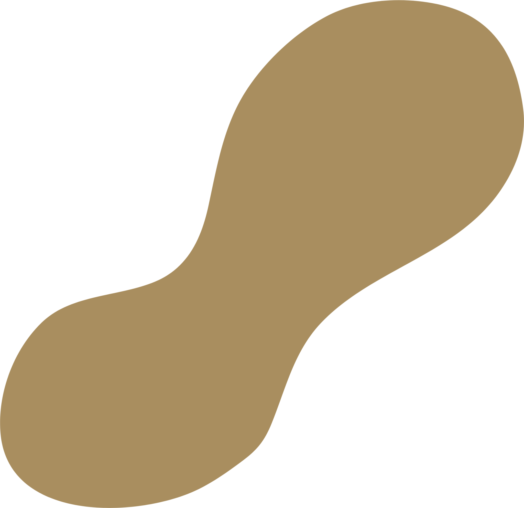 abstract peanut icon