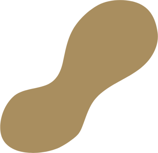 abstract peanut icon