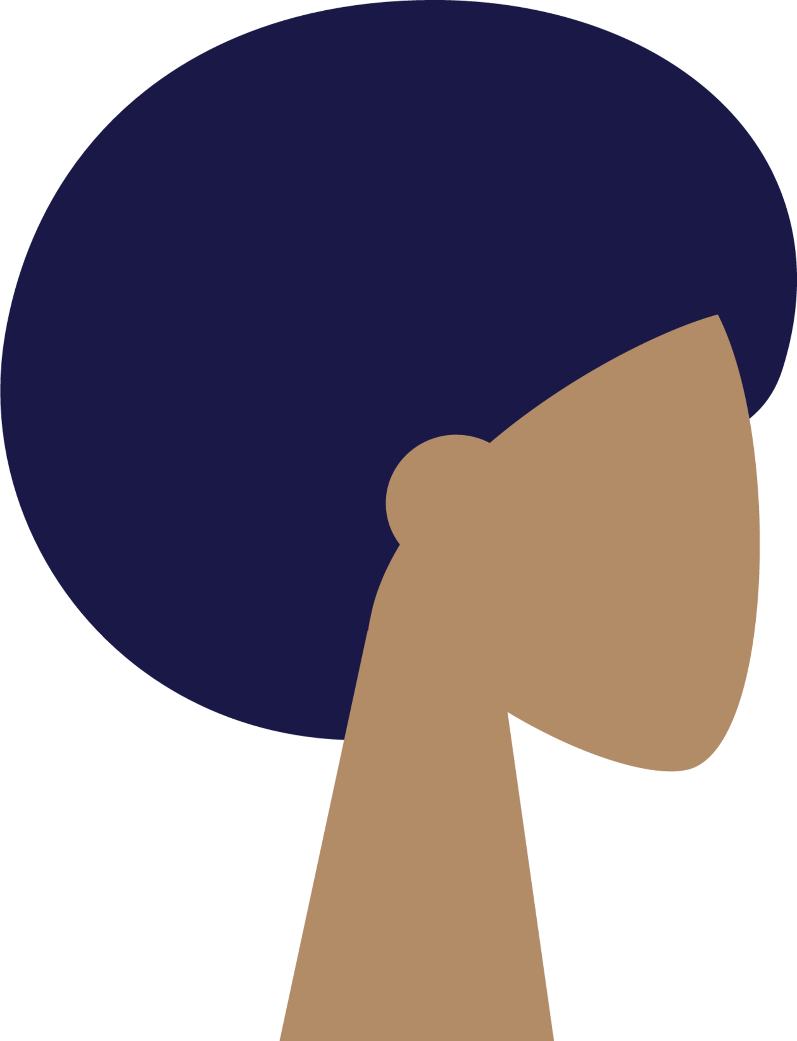 Afro black woman illustration
