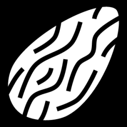 almond icon