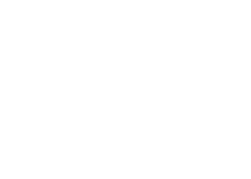 ammo primary icon
