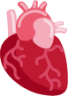anatomical heart emoji