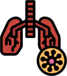 anatomy breath lung organ pneumonia illustration