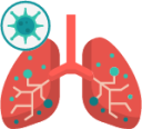 anatomy lung medical organ illustration