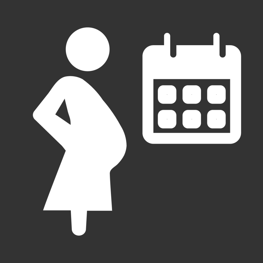 Antenatal Care Visit icon