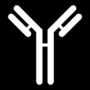 antibody icon