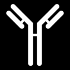 antibody icon