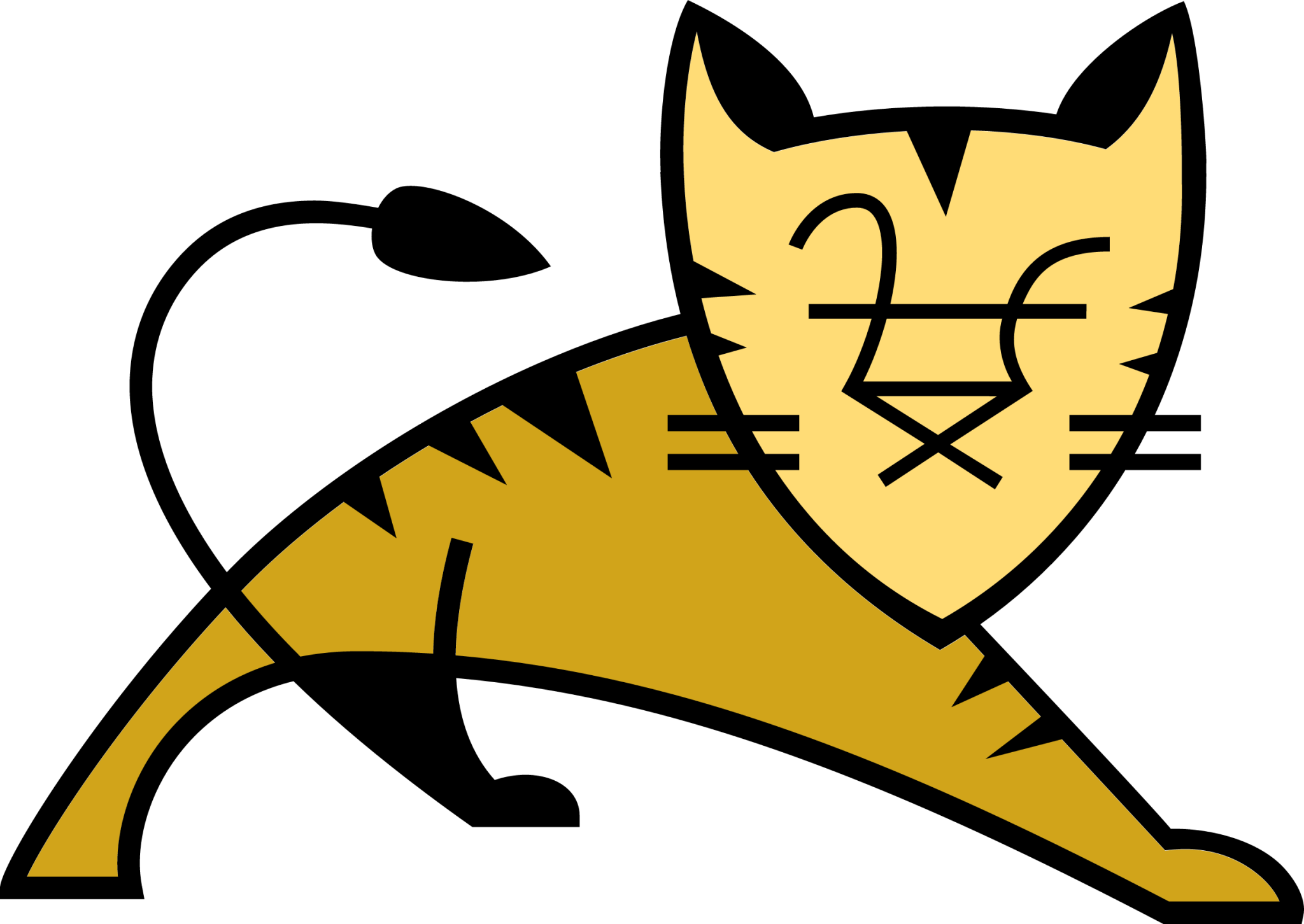 Apache Tomcat icon