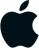 apple fill icon