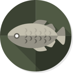 Apps Stockfish icon