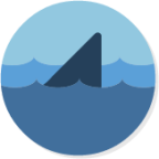 Apps Wireshark icon