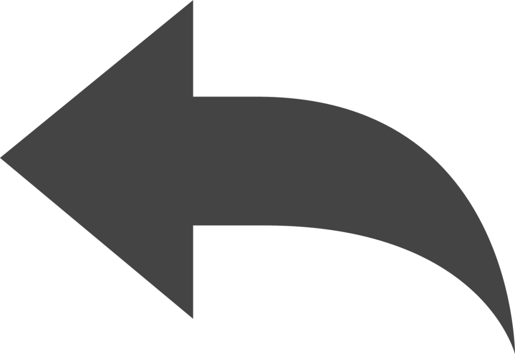 arrow backward icon