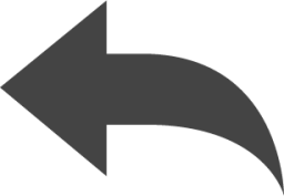 arrow backward icon