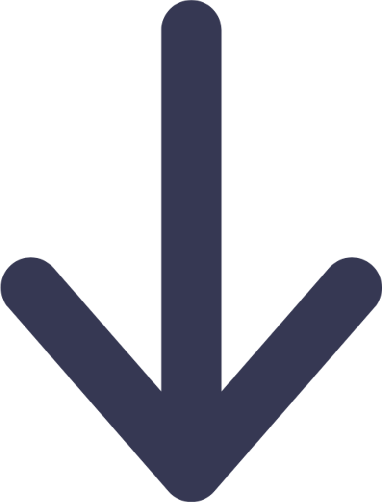 Arrow Bottom 2 icon