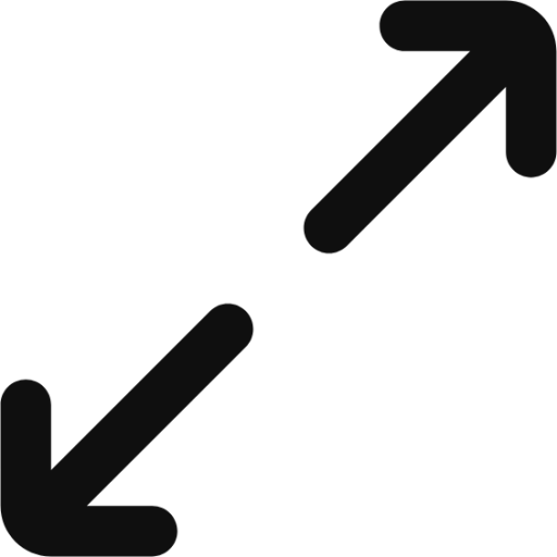 arrow diagonal double icon