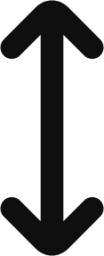 arrow dual vertical icon