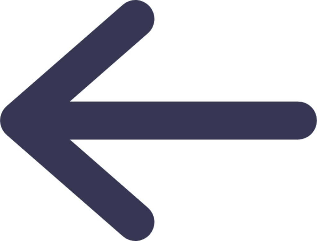 Arrow Left 2 icon