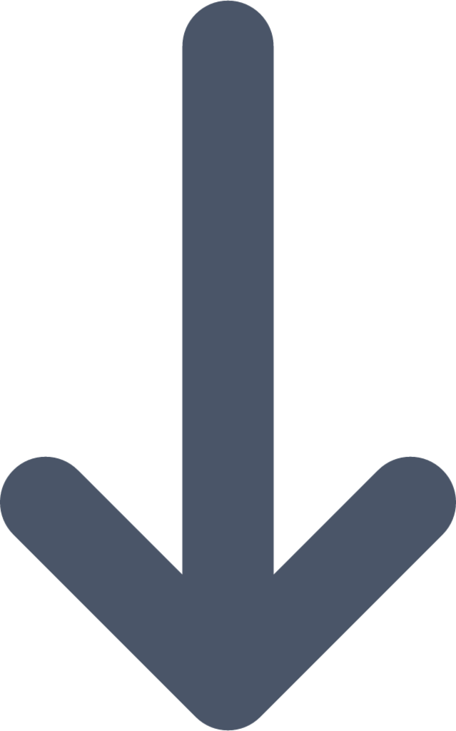arrow narrow down icon