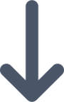arrow narrow down icon
