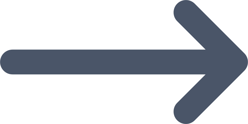 arrow narrow right icon