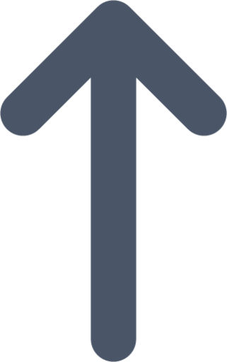 arrow narrow up icon
