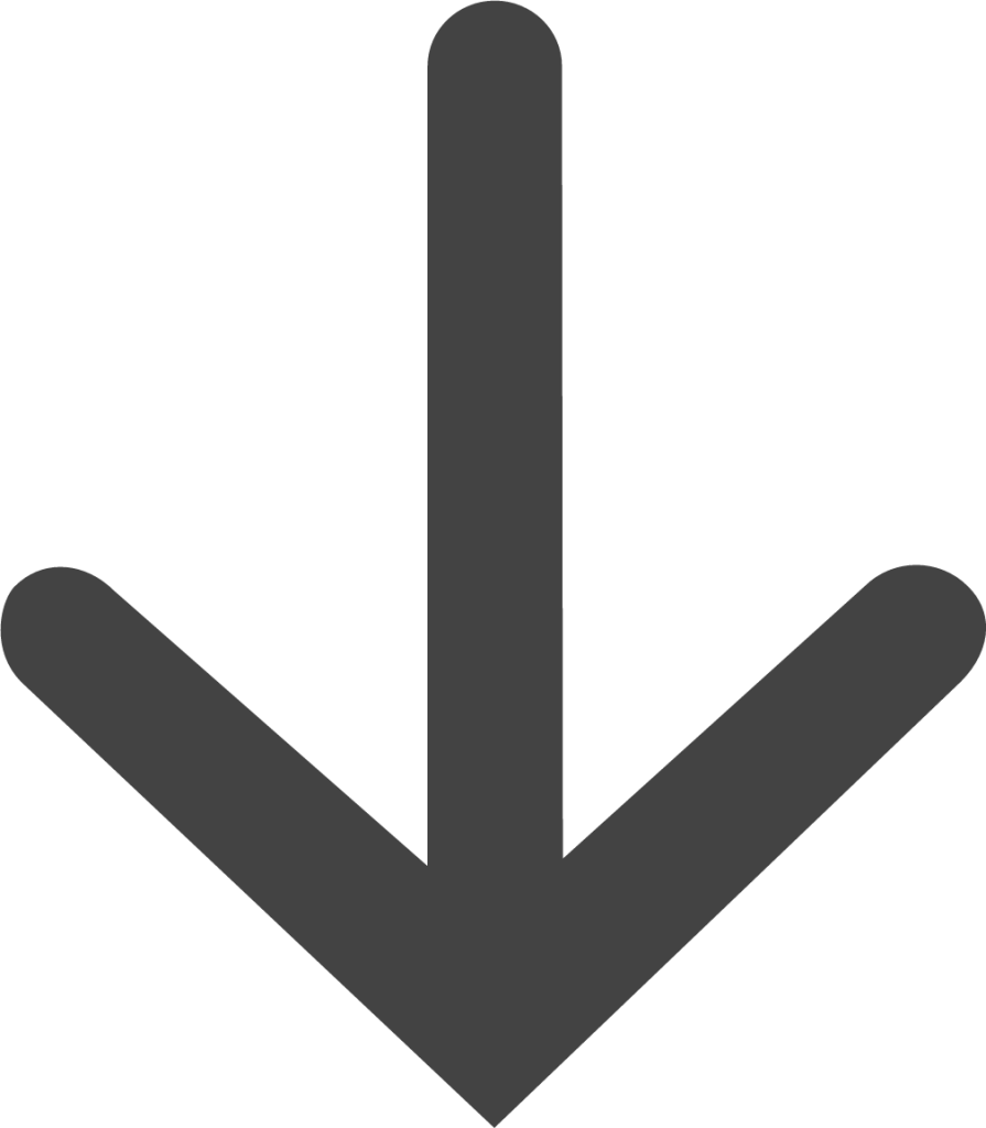 arrow thin down icon
