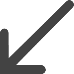 arrow thin left bottom icon