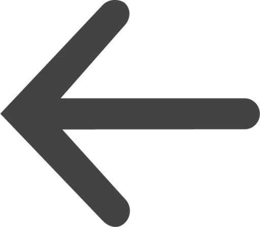 arrow thin left icon
