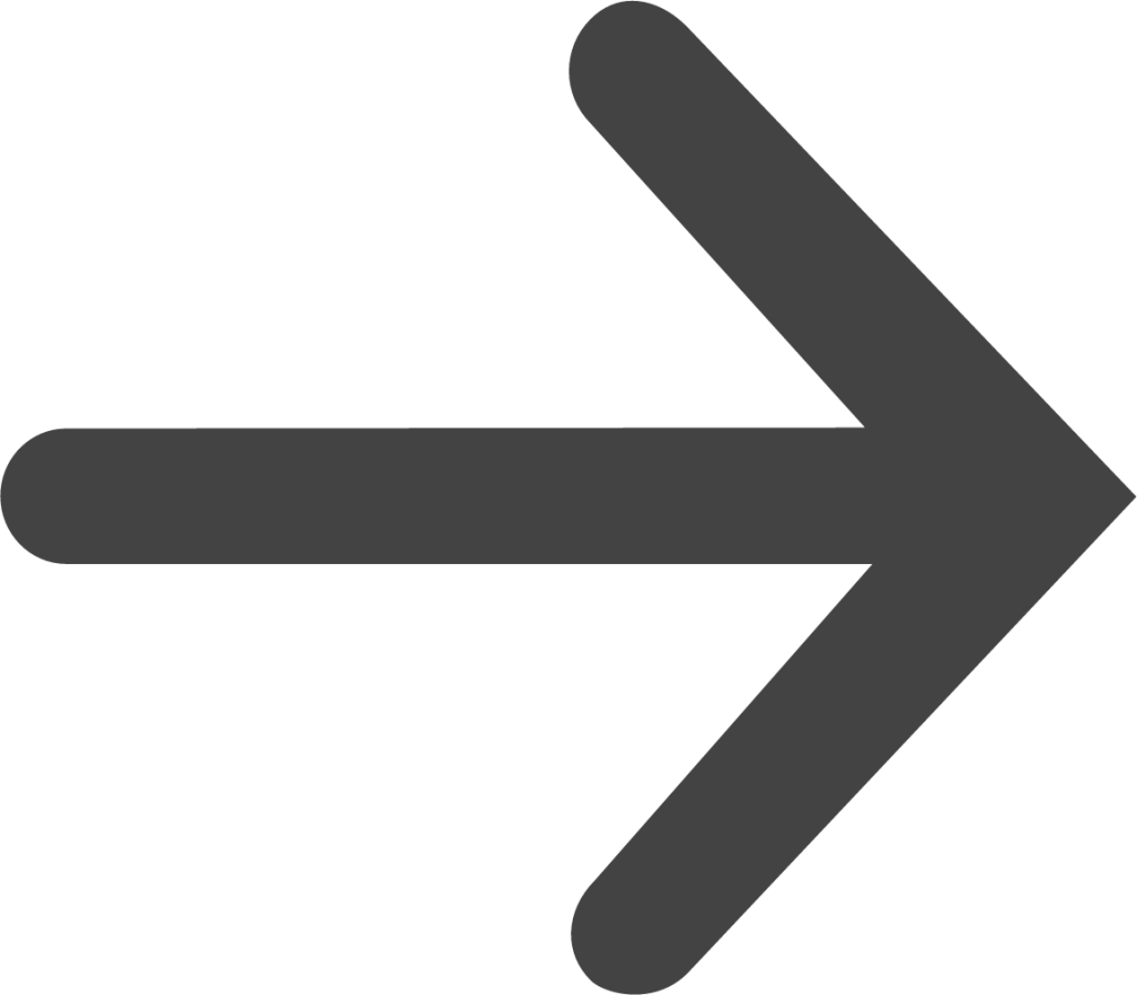 arrow thin right icon