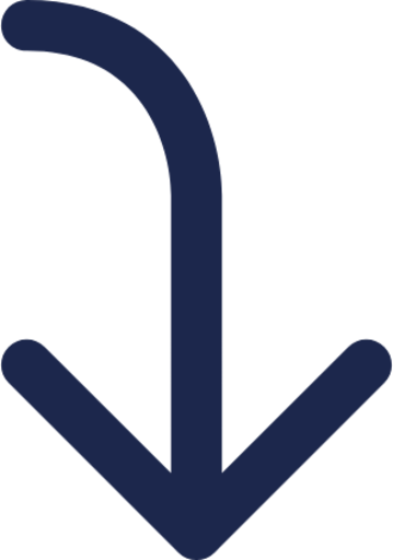 Arrow To Down Left icon