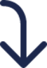 Arrow To Down Left icon