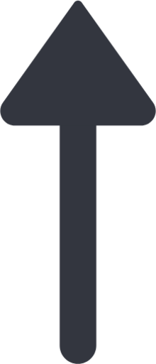 Arrow top long icon