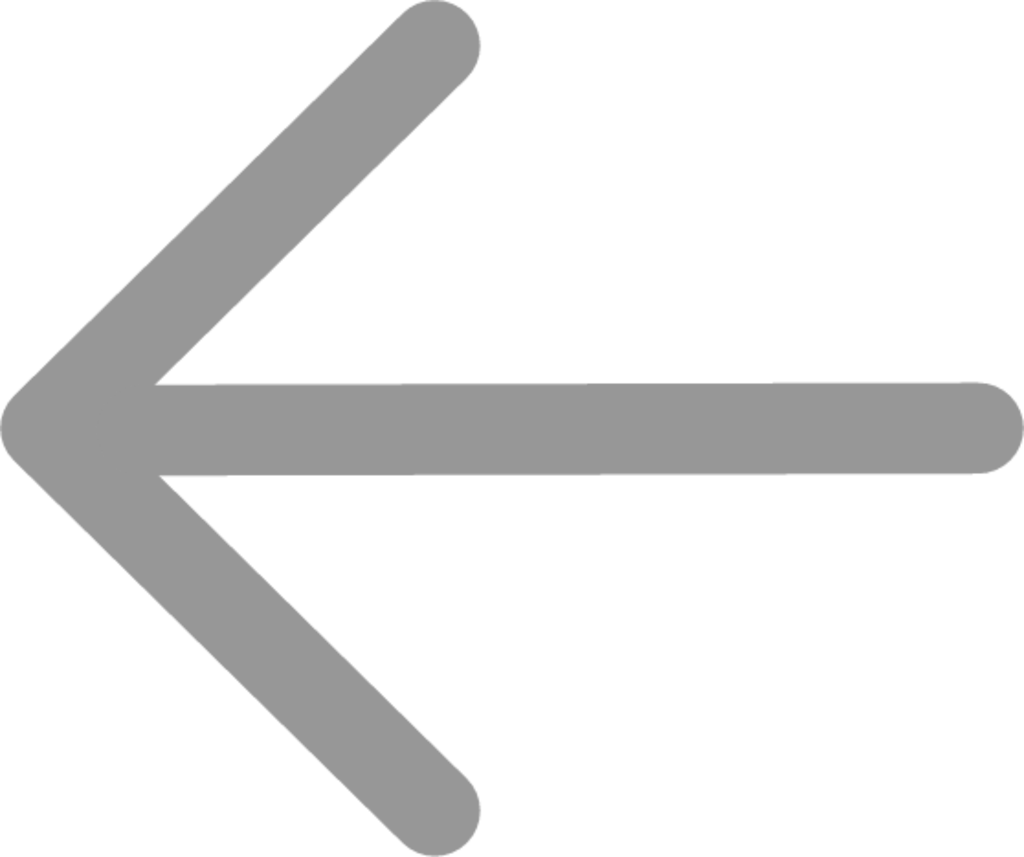 arrowLeft icon