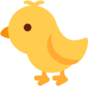 baby chick emoji