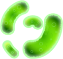 bacteria emoji