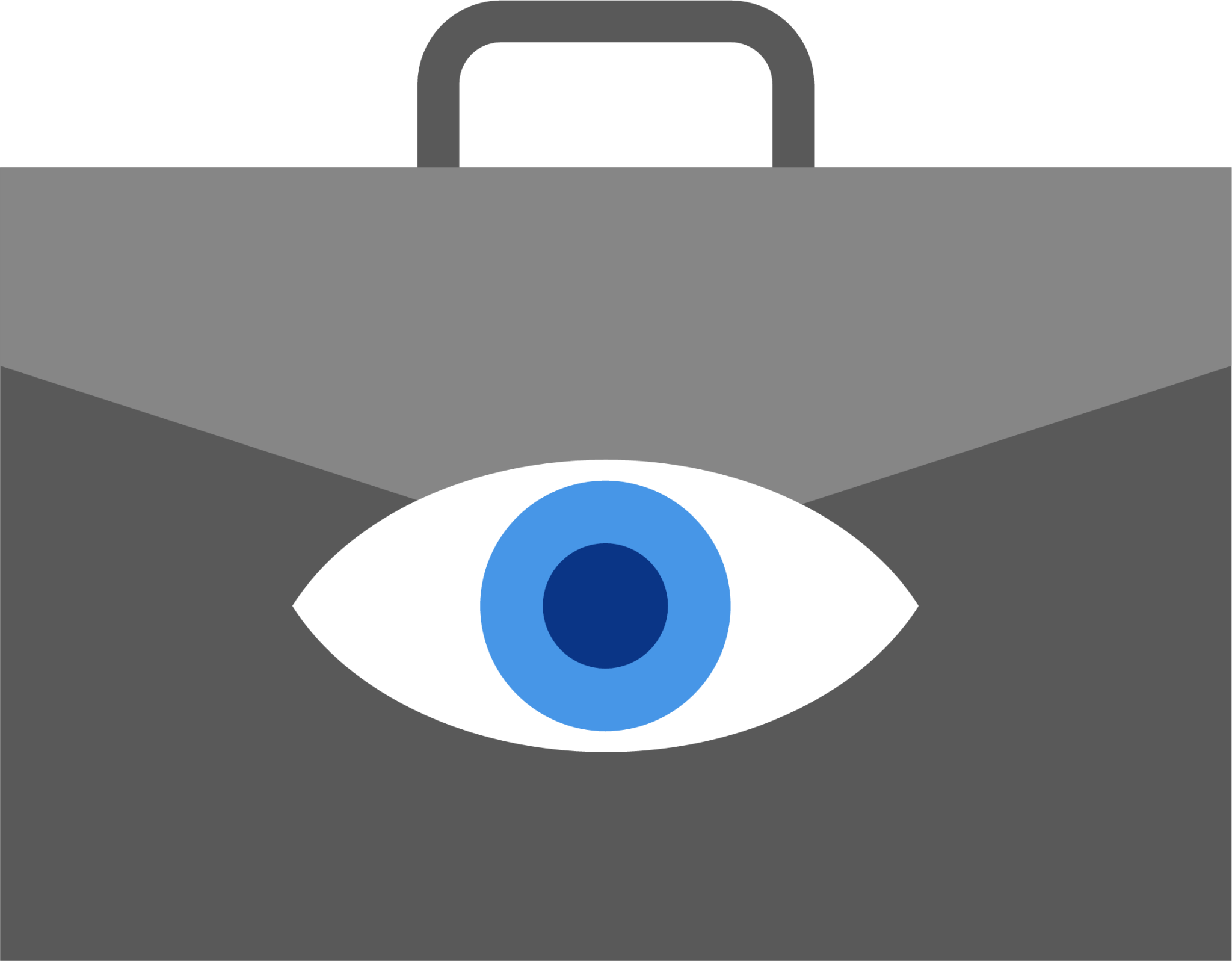 bag vision icon