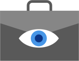 bag vision icon
