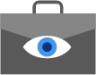 bag vision icon