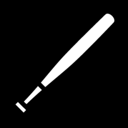 baseball bat icon