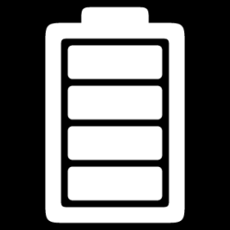 battery 100 icon