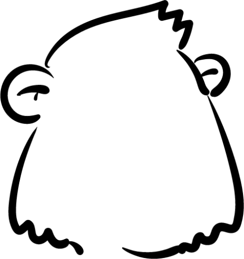 Bear hair head illustration
