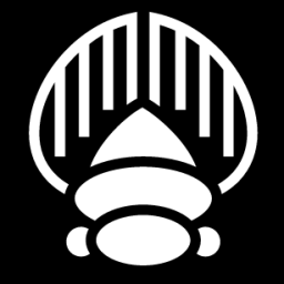 beetle shell icon