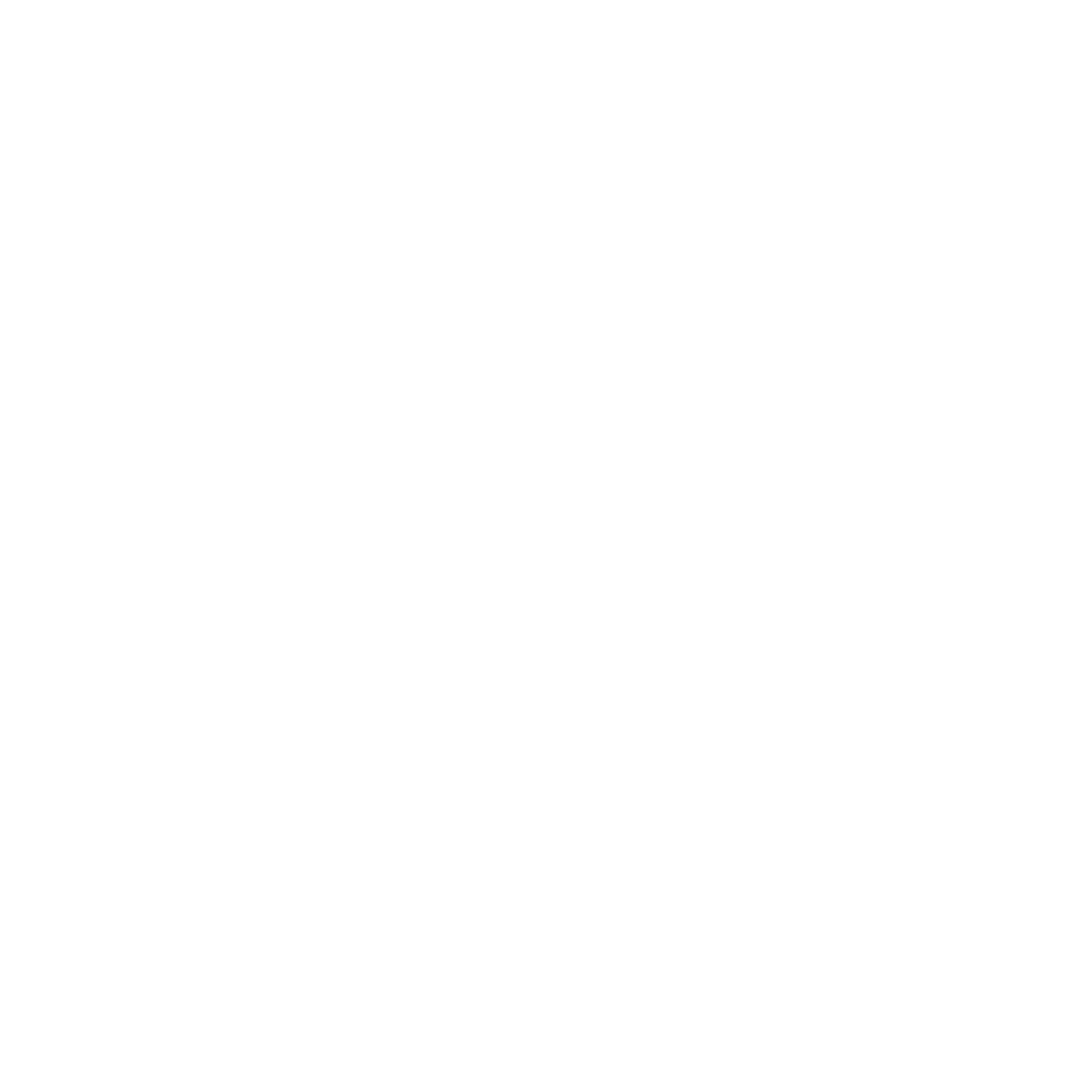 behance icon