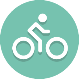 biker icon