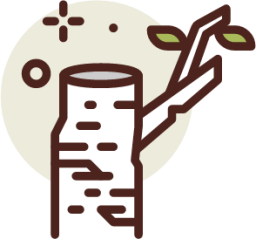 birch icon