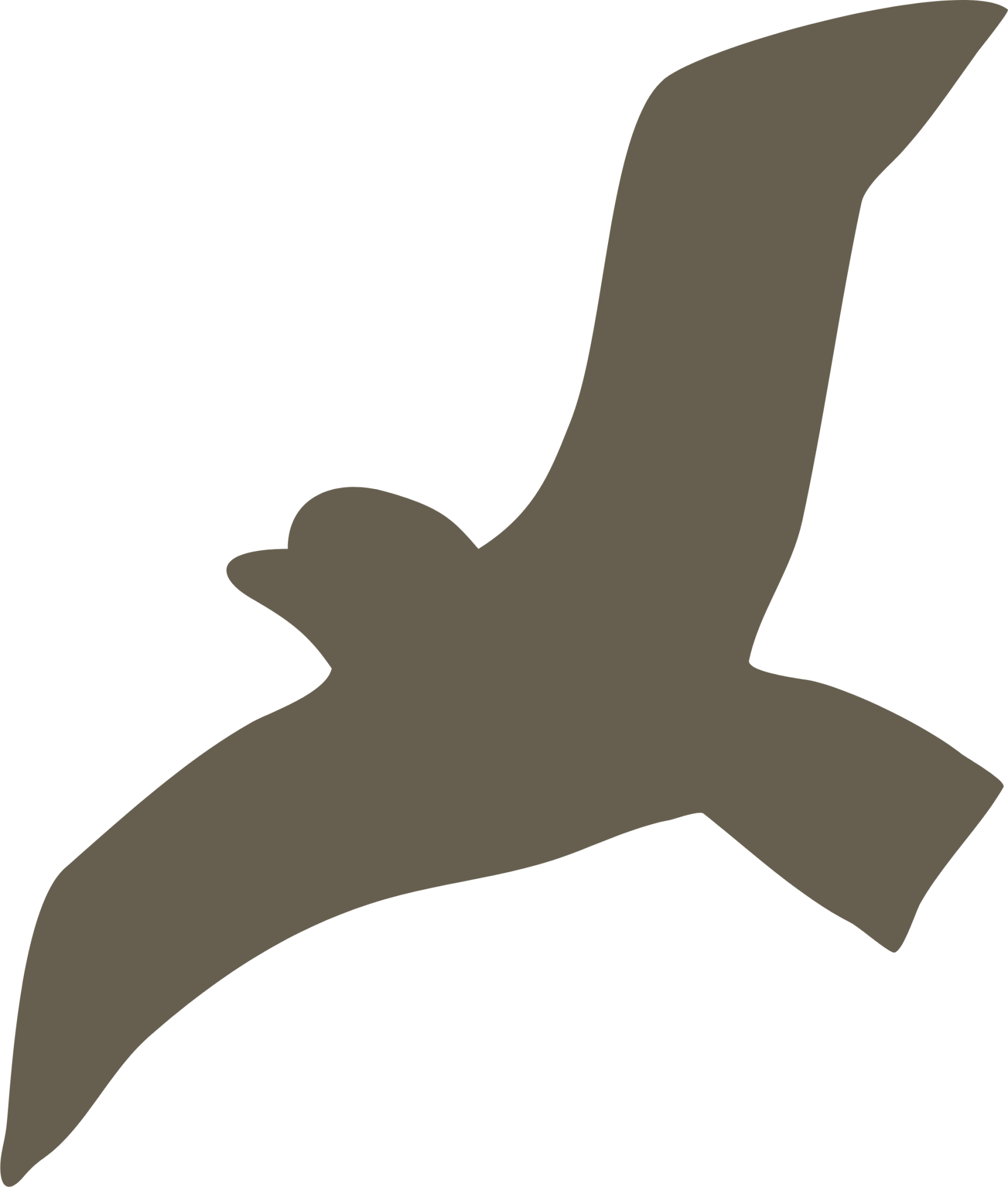 bird nature icon