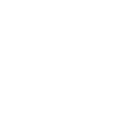 Bitcoin Diamond Cryptocurrency icon