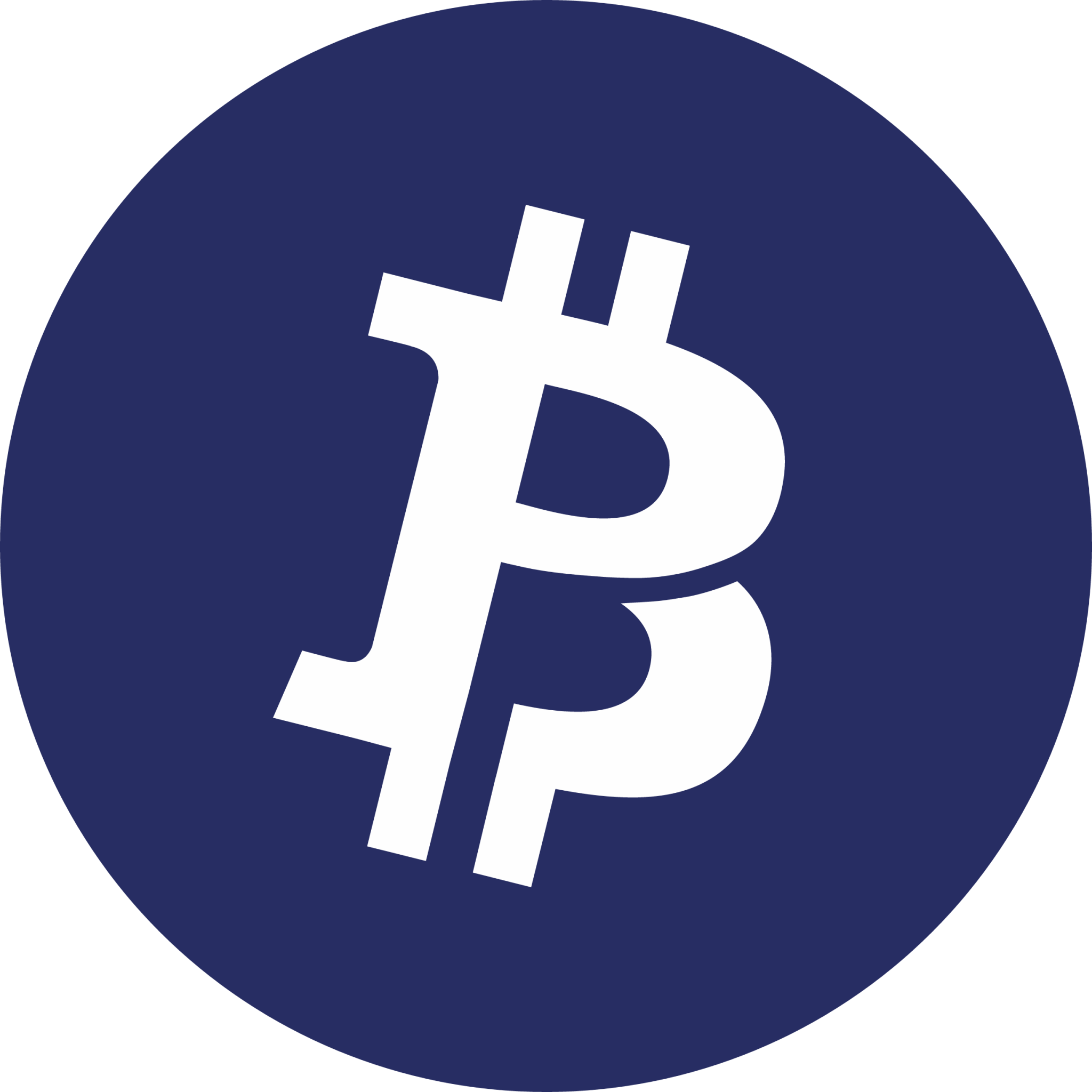 Bitcoin Private Cryptocurrency icon