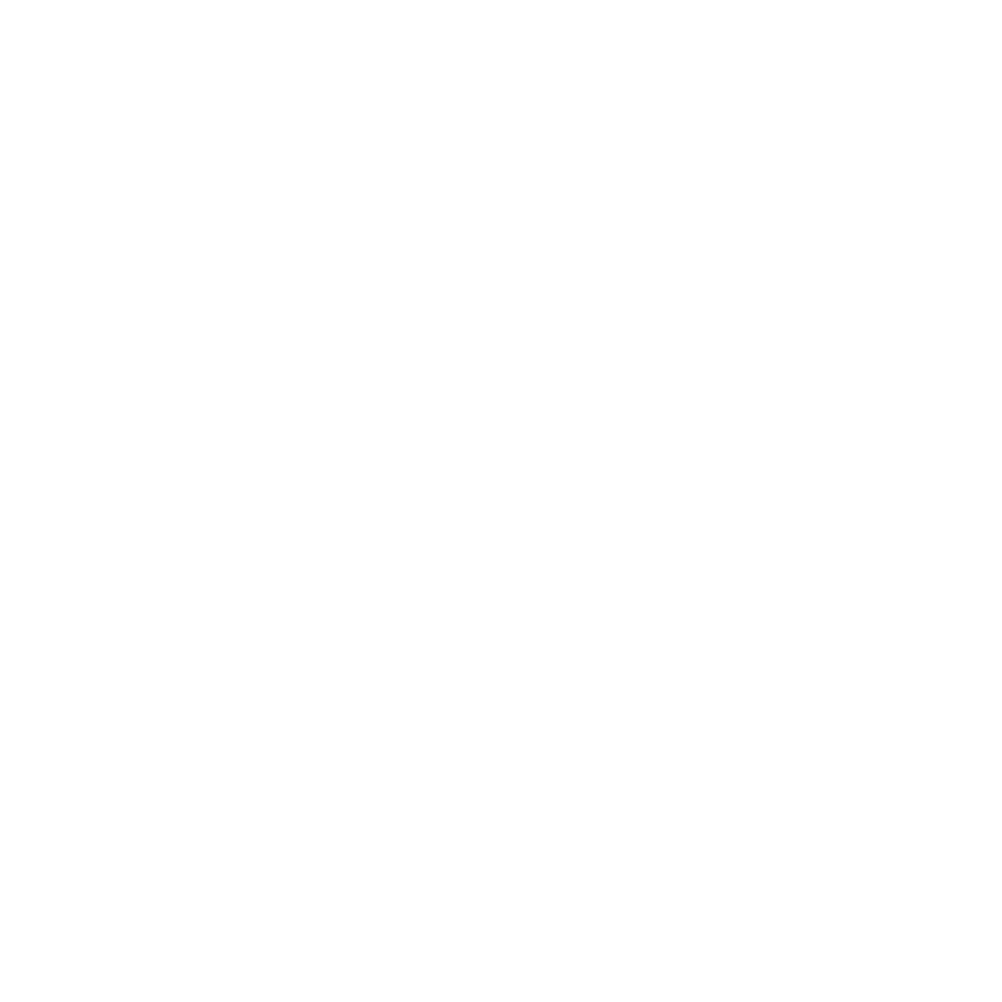 Bitcoin Private Cryptocurrency icon